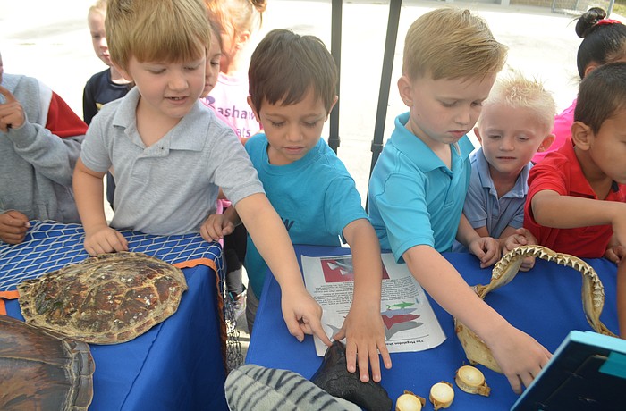 Ethan Parker, Skyler Cruz and Weston Smith, kindergarteners, ask the big questions, like if the shark tooth provided by Mote Marine Laboratory was even real.