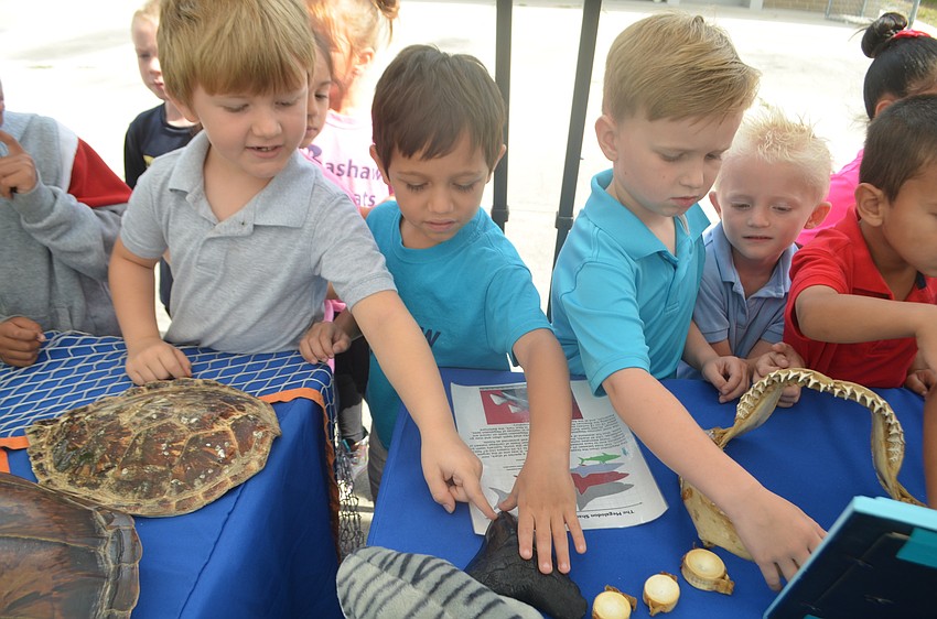 Ethan Parker, Skyler Cruz and Weston Smith, kindergarteners, ask the big questions, like if the shark tooth provided by Mote Marine Laboratory was even real.
