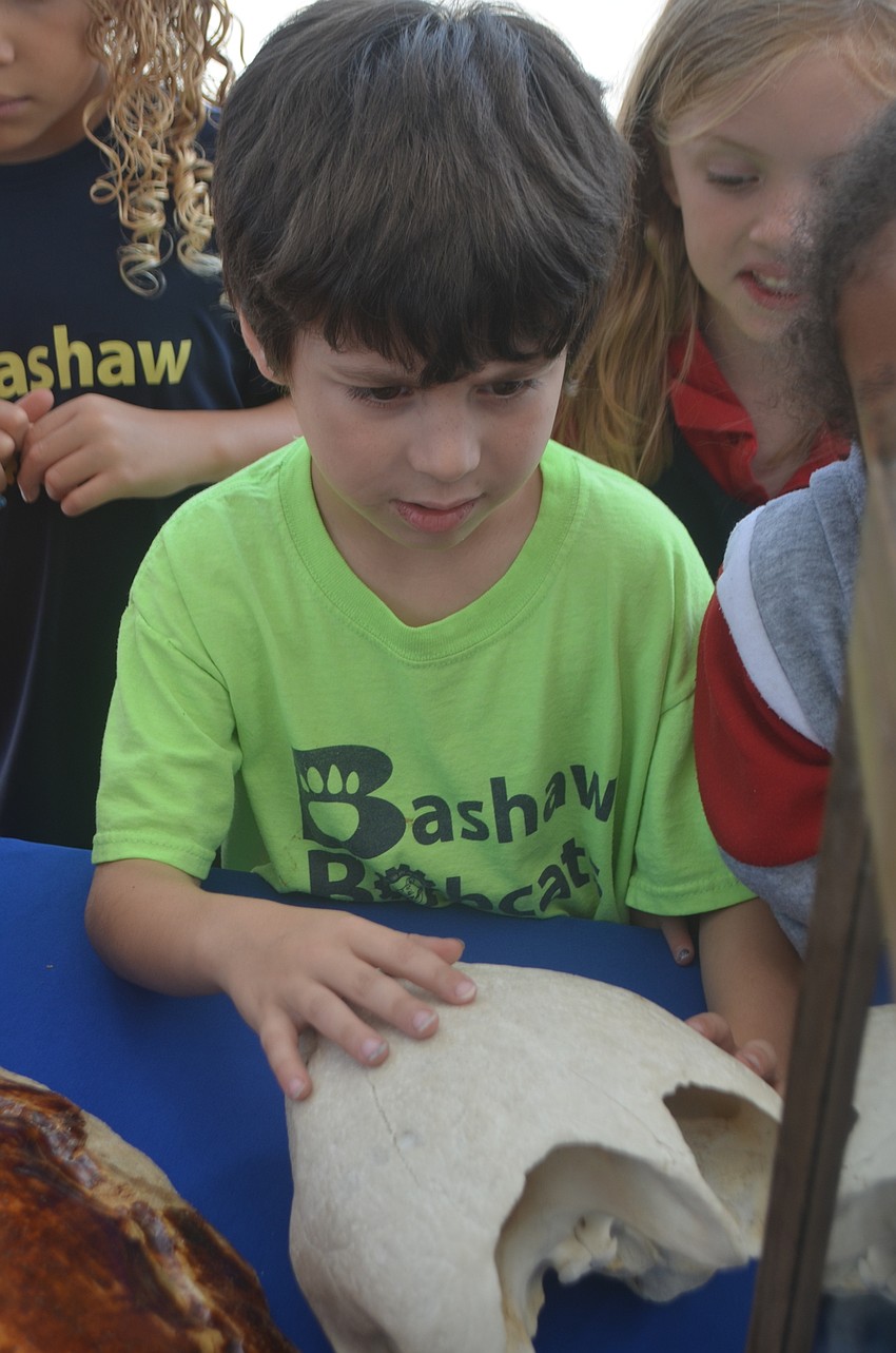Braylon Cicero, a kindergartner, couldn't believe that a sea turtle's head, provided by Mote, could get that big.