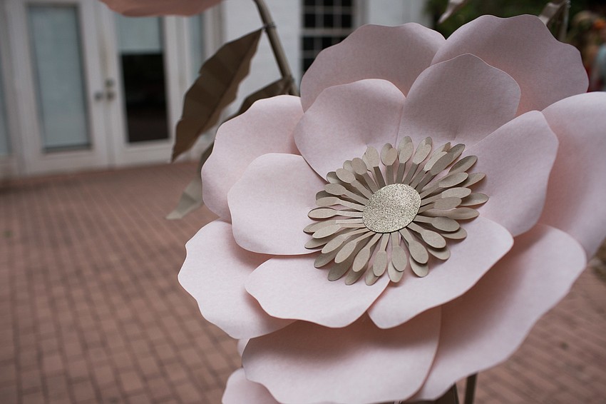 CC's Paper Artistry provided the decor for the step and repeat.