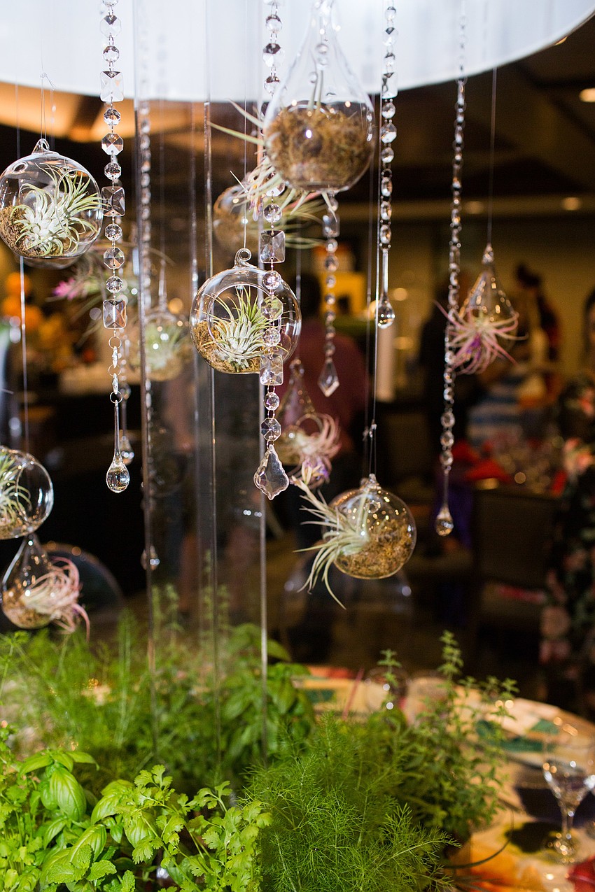 Succulents hung from the centerpieces on the Selby Garden table.