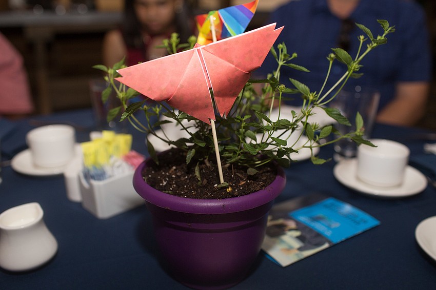 The tables were decorated with live plants.