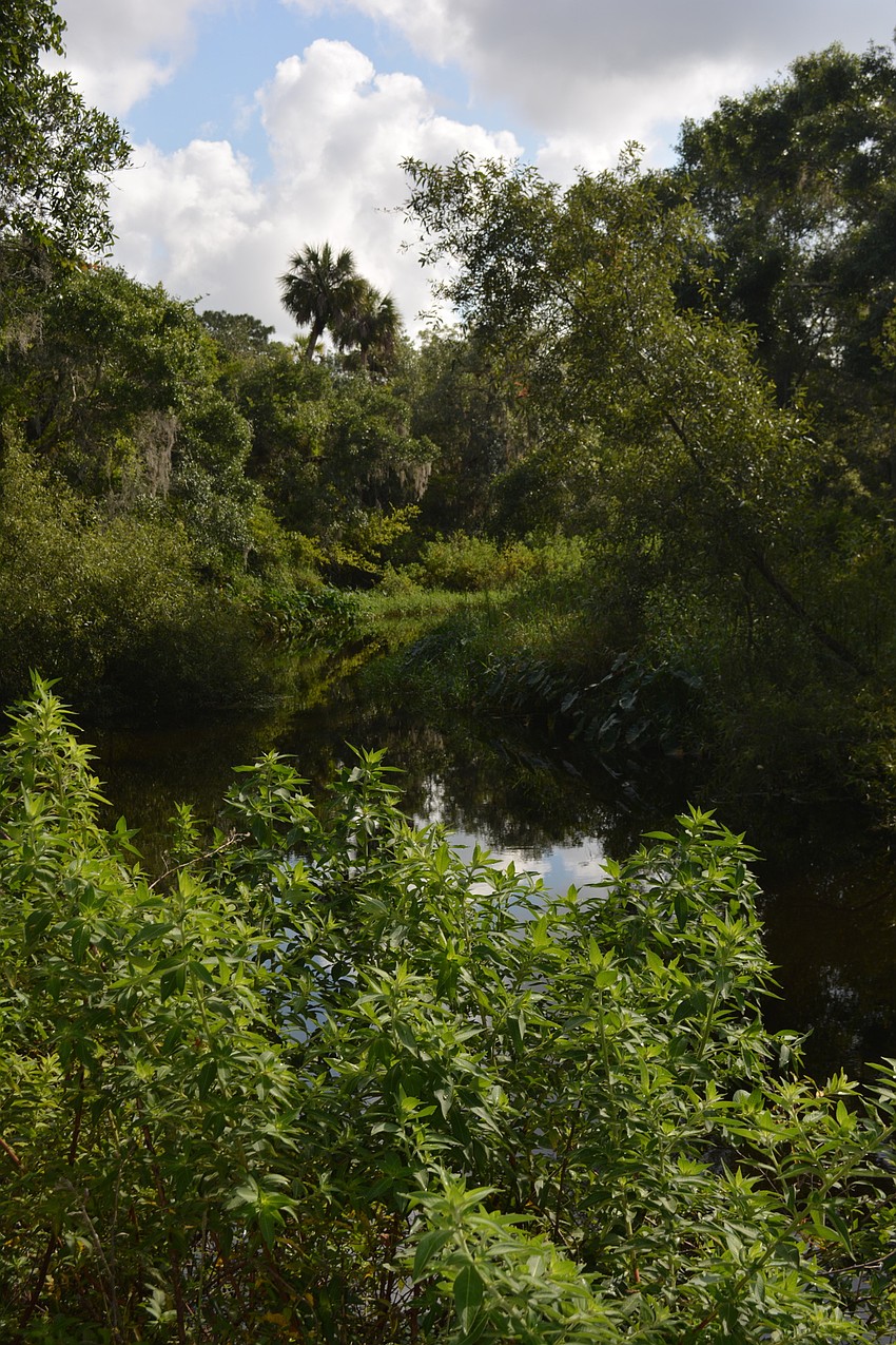 Bobcats, wild boar and deer are among the wildlife who call the preserve home.