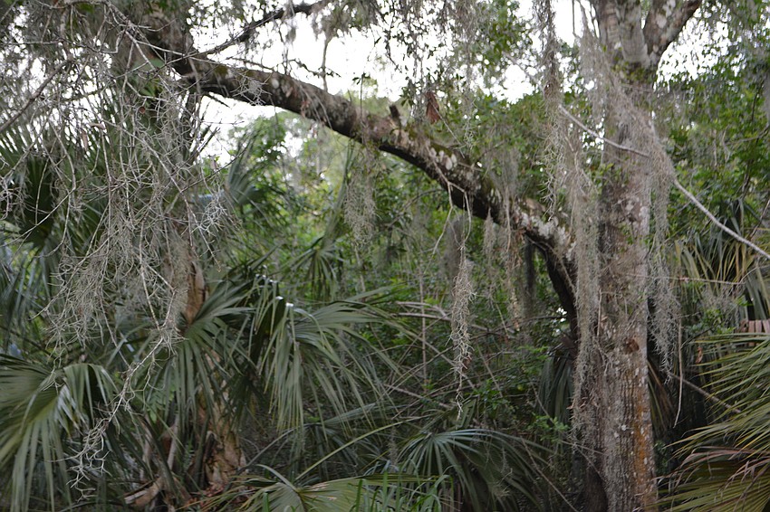 Those who visit will be able to stroll through the woods or walk along the river.