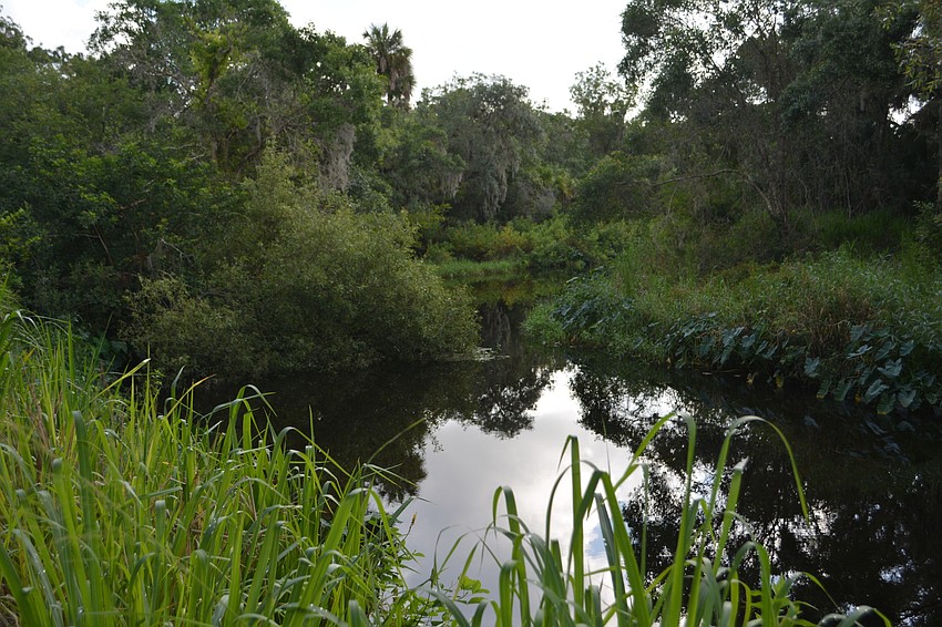 The area was set to be developed with more than 30 homes.