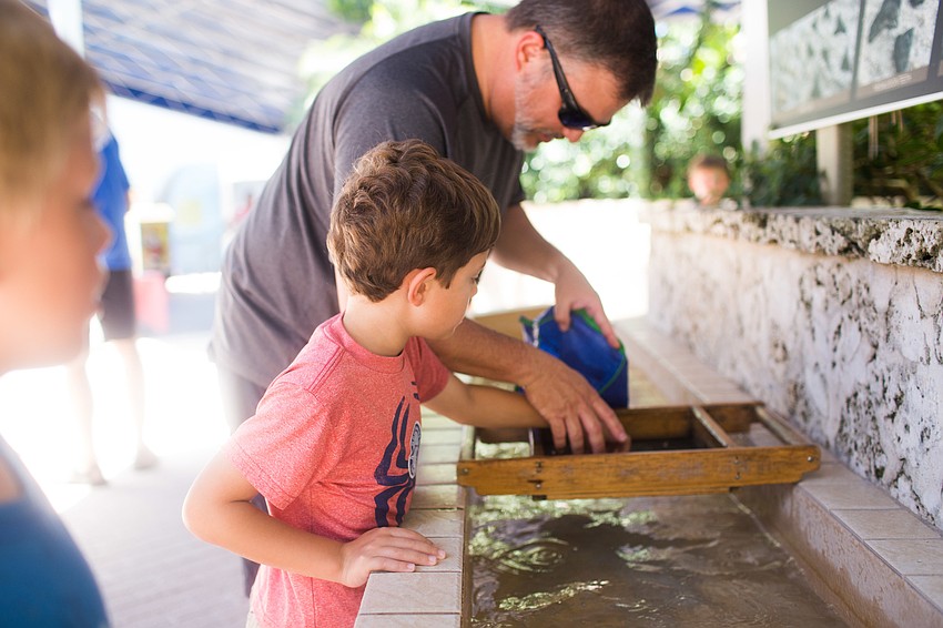 Mark and Andrew Naughton rinse their shark teeth.