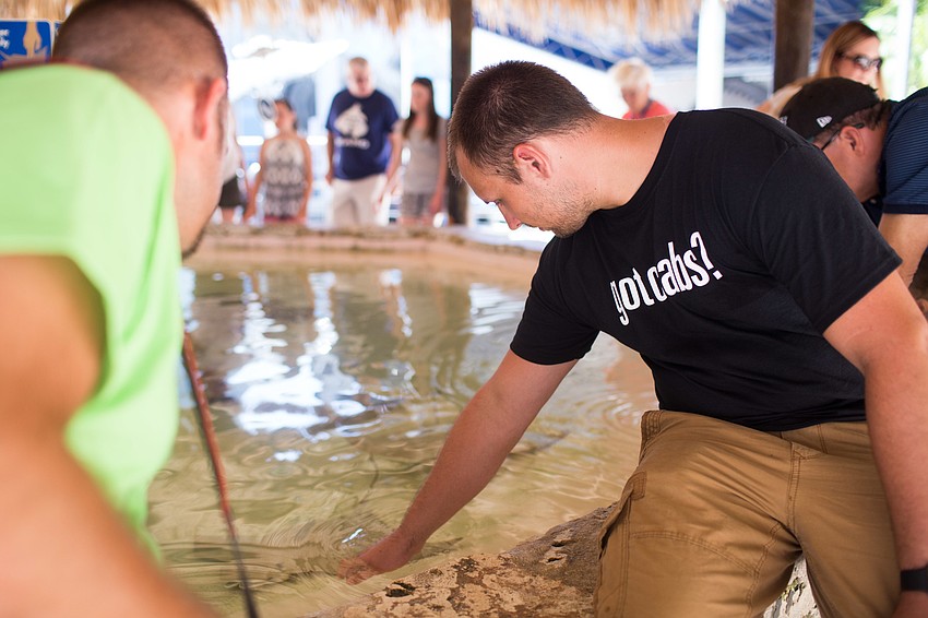 Mike Schuster reaches out to touch a stingray.