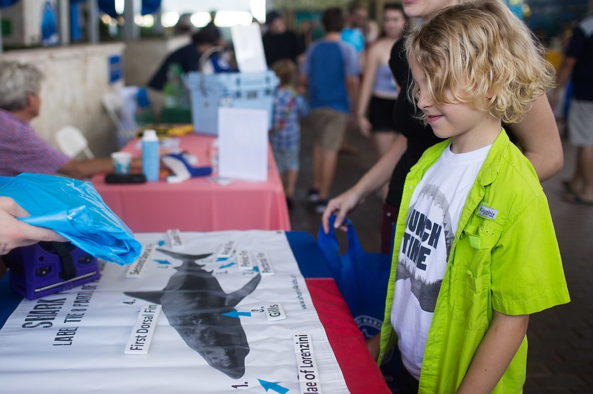 Topher Bauer successfully matched up the sharks body parts.