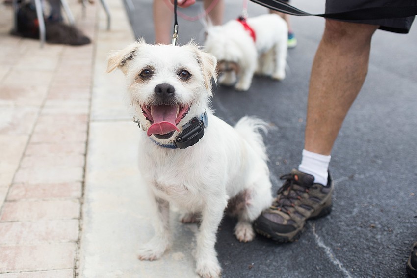 Shosti poses for a photo.