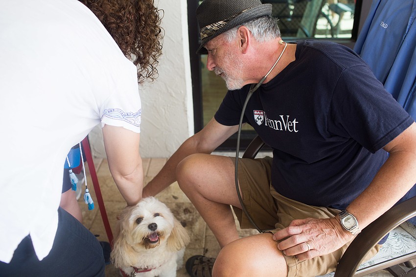 Dr. Hal Alterman assesses Jedi's weight.