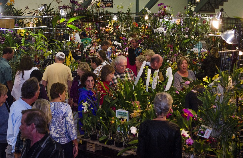 Festivalgoers perused booths from professional growers.