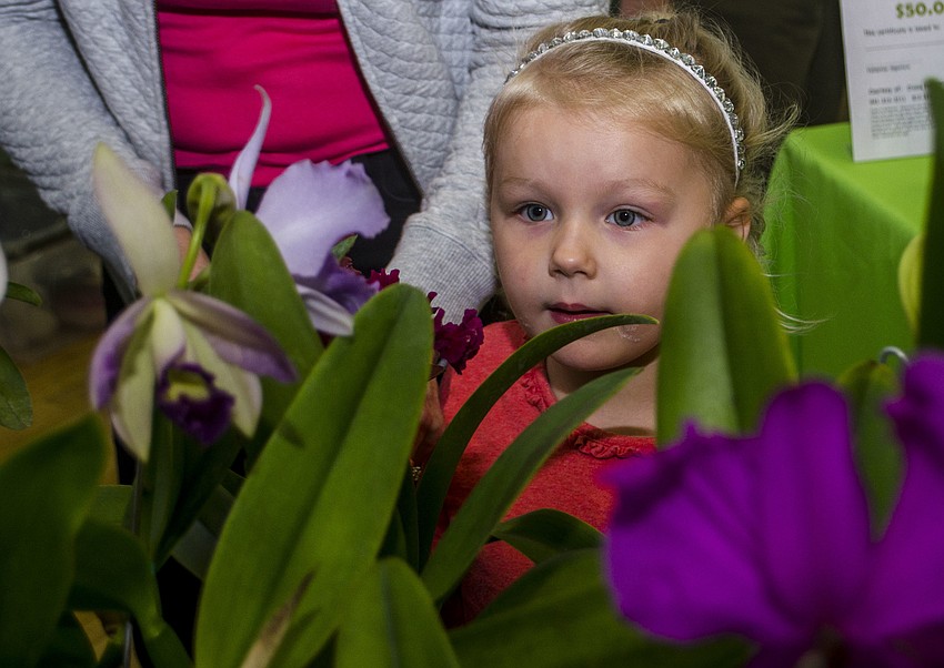 Alina Van Regenmorter helped her grandmother, Joanne Wuelfing (not pictured), select an orchid to purchase.