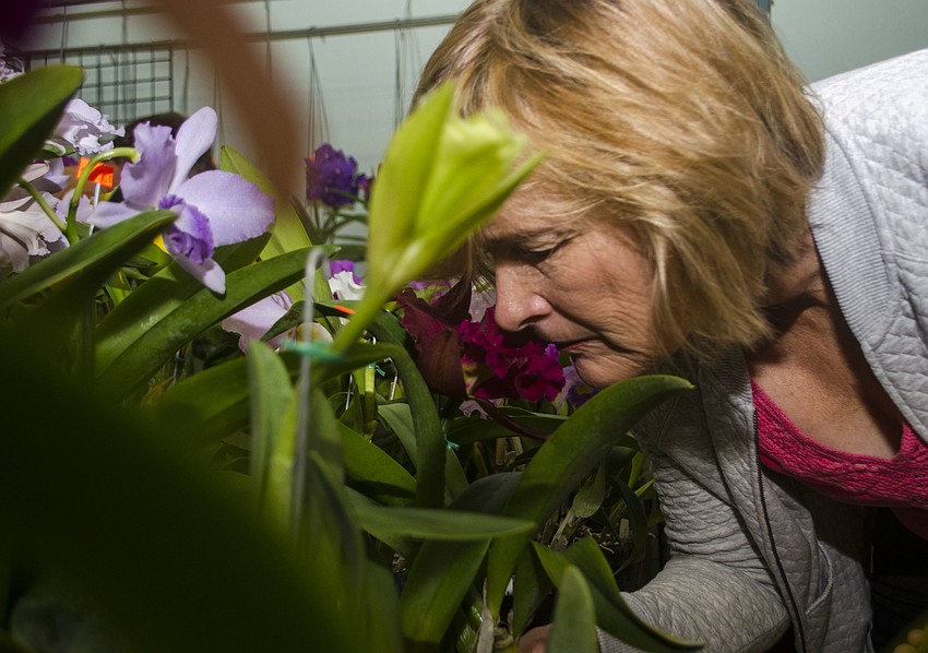 Joanne Wuelfing smells the orchids for sale at the festival.