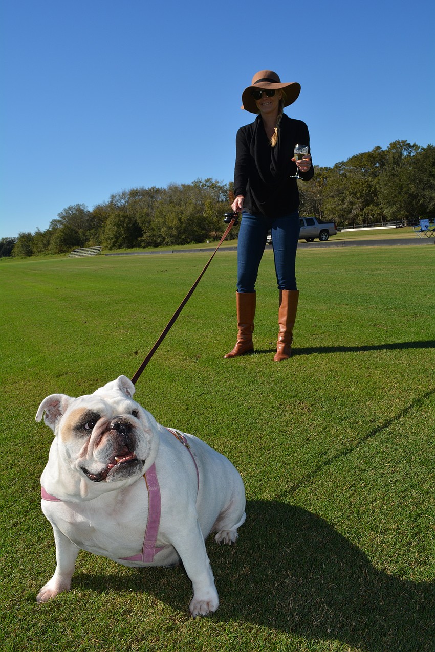 Stella rests while her owner, Siesta Key resident Amanda Waag stomps divots.