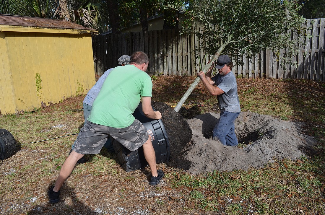 Arlington Park resident Nathan Wilson works with Jerry Hoffer and Anttro Montes of New Life Landscaping to plant a tree at a Floyd Street property.