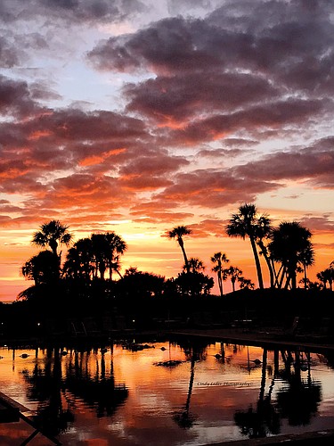 Cindy Leder captured this fiery sunset shot at Beachplace on Longboat Key.