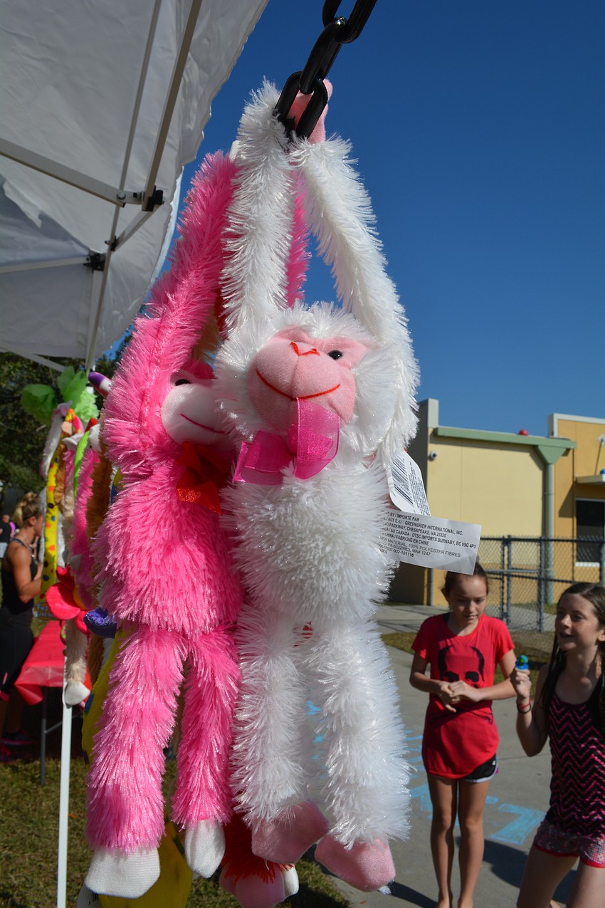 Carnival-style booths offered a variety of prizes, including stuffed animals and candy.