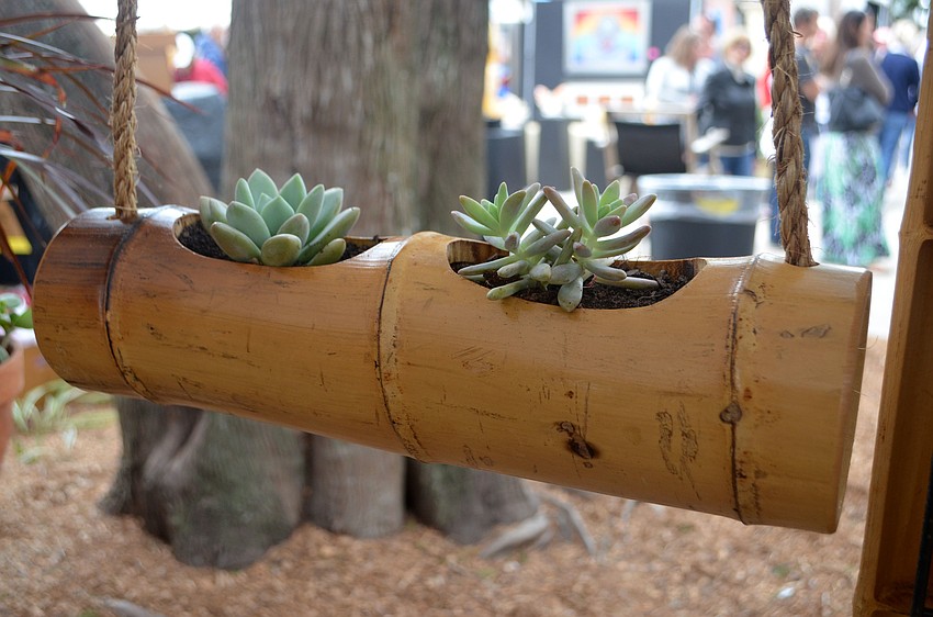 Bamboo Creations by Dan Shafer hung around St. Armands Circle over the weekend. The pieces can serve as planter for various items such as succulents.