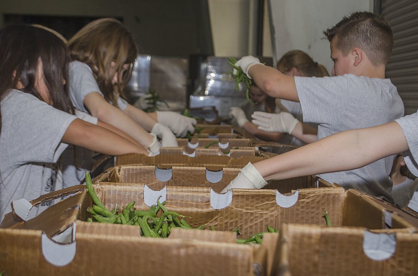 St. Martha Catholic School and St. Mary Academy sorted produce at All Faiths Food Bank during their day of service.