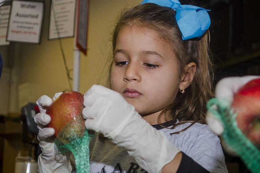 Raustina Bencomo sorts produce during St. Martha and St. Mary'   s day of service.
