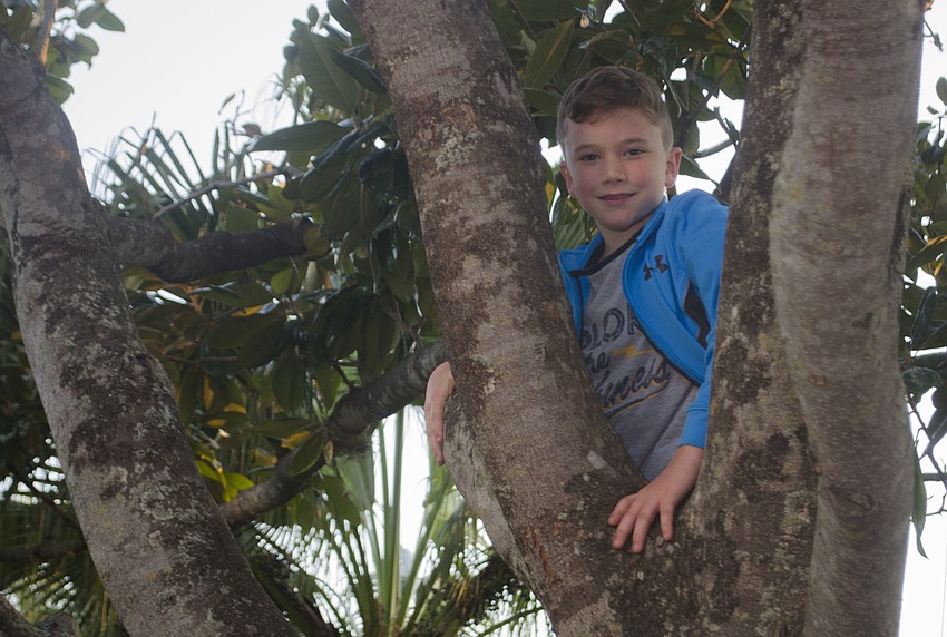 Chance McArtor climbs a tree in the Church of the Redeemer lawn before the movie night.
