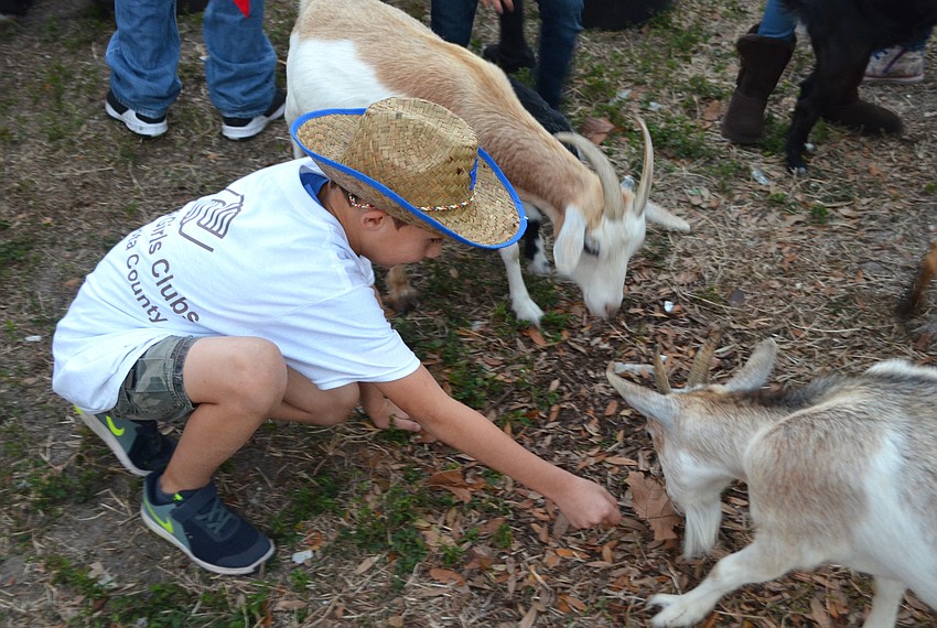 Jacob J. tried to feed the goats leaves.
