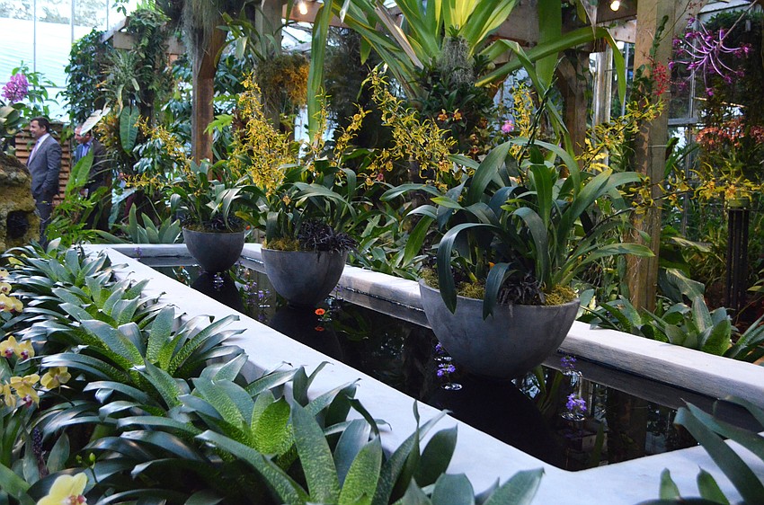 Marc Chagall, Flowers, and the French Riviera: The Color of Dreams runs from Feb. 12-July 31 at Marie Selby Botanical Gardens.