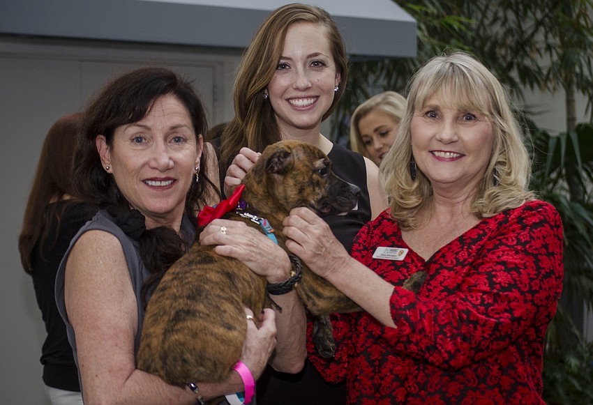Stella Pappas, Autumn Steiner and Ginny Armington pose with Denver.