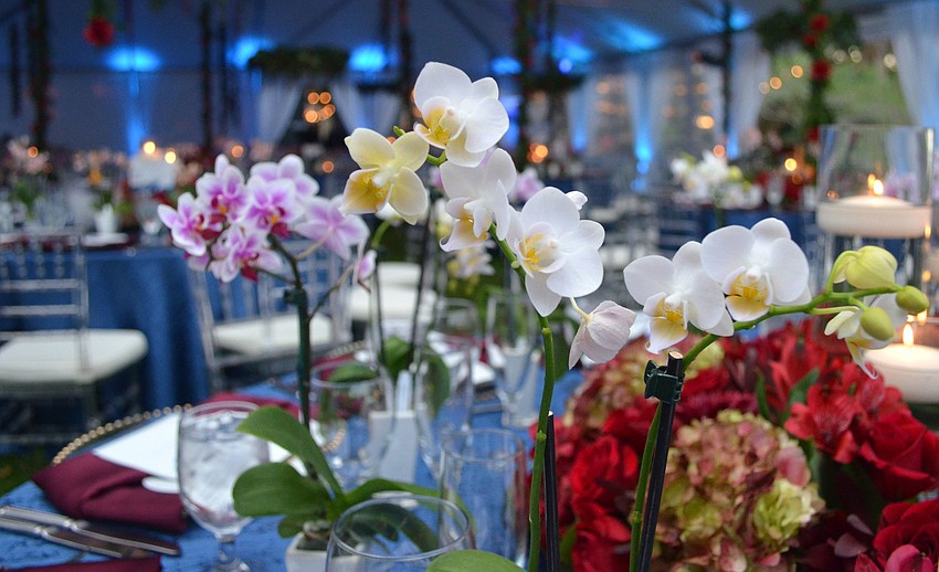 Selby Gardens Senior Director of Special Projects Roger Capote said the concept of the evening was to bring the gardens’ new model of horticulture + art to life.