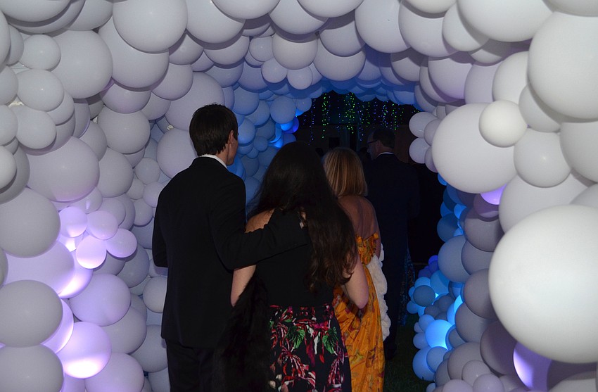 Guests at the Orchid Ball: une soirée en fleurs make their grand entrance into the tent on the great lawn of Marie Selby Botanical Gardens on Feb. 11.