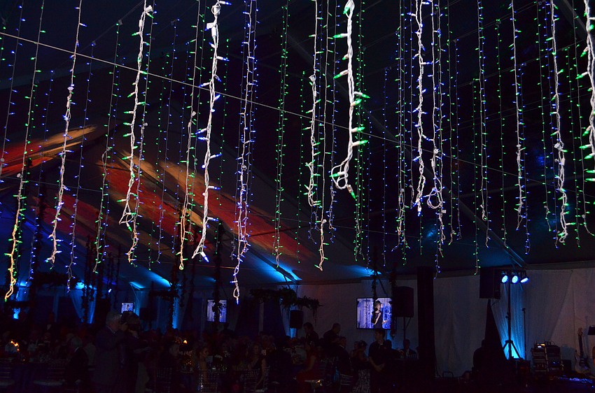 Selby Gardens Senior Director of Special Projects Roger Capote said the concept of the evening was to bring the gardens’ new model of horticulture + art to life.