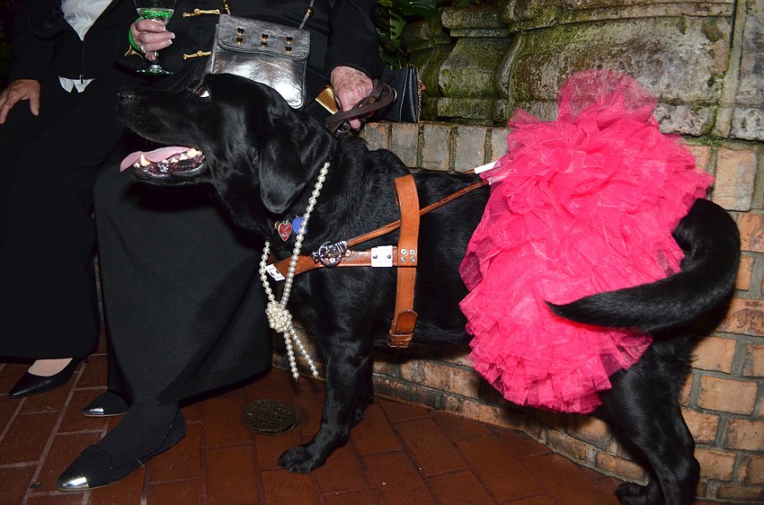 Sally looks up at Nora Duffy and Dorothy Doran during cocktail hour.
