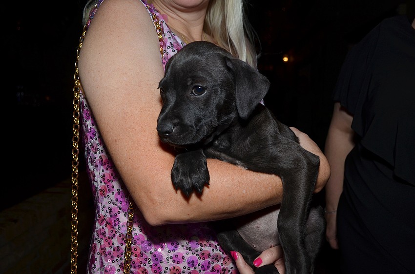 Karen Neilinger holds Carla of Nate’s Honor Animal Rescue.