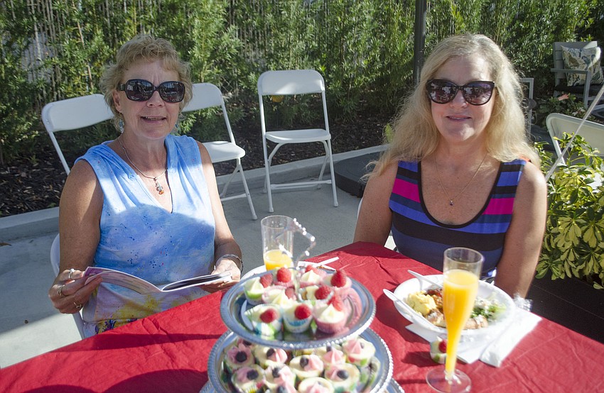 Janet Schmidt and Sue Hennessey