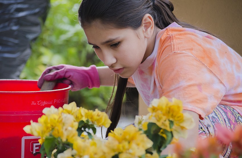 Luiciana Pereira helps plant flowers in front of the Gillespie Park police substation.