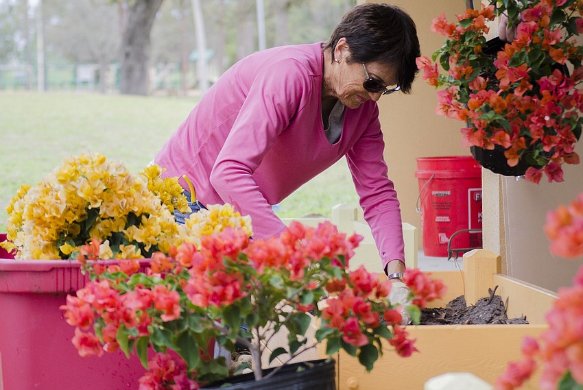Julie Feeley plants flowers in front of the Gillespie Park police substation.