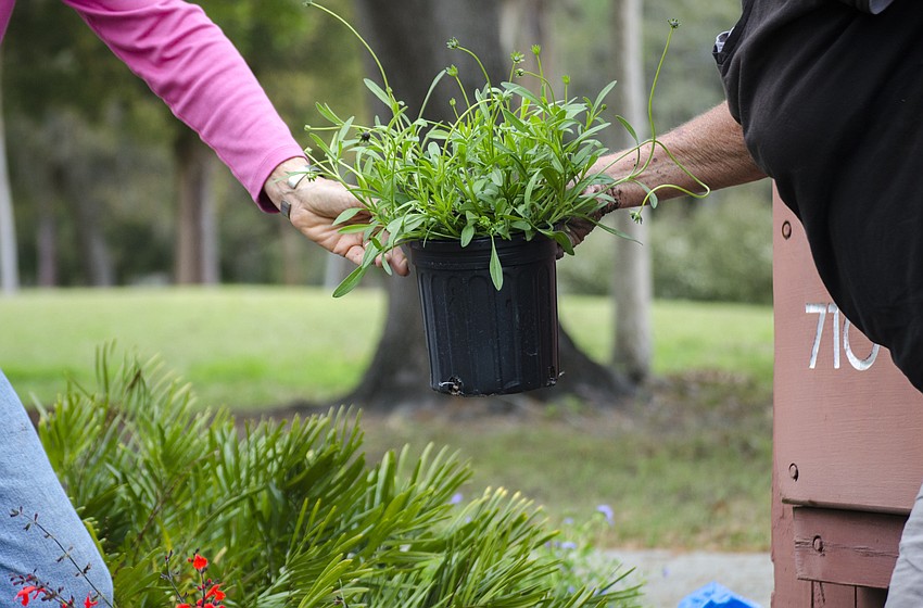 Neighbors planted flowers in front of the Gillespie Park sign.