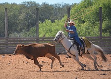 Steve John, the citrus production manager for Schroeder-Manatee Ranch, shows the competitors how roping a steer is done.