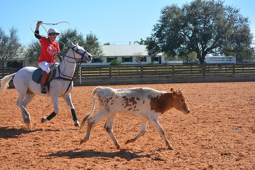 Polo player Ann Oniskey gets ready to toss a lariat at a steer.