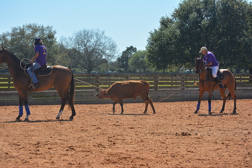 Lucio Amerigo Gomez has the head roped, and it'   s Dixon Stroud'   s turn to rope the heels.