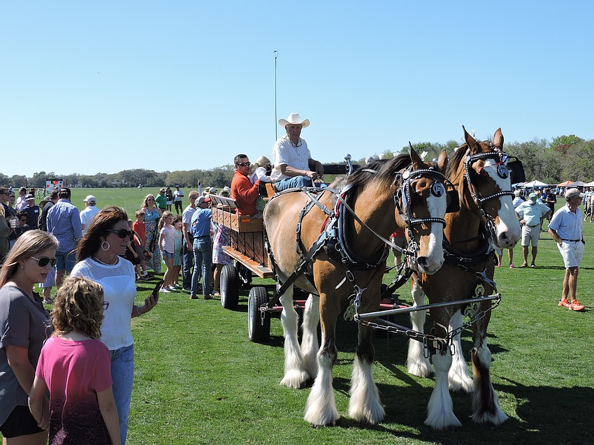 Children piled into the back of a wagon for rides pulled by Clydesdales at halftime.