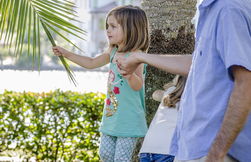 Avery Fernandez plays in a tree.