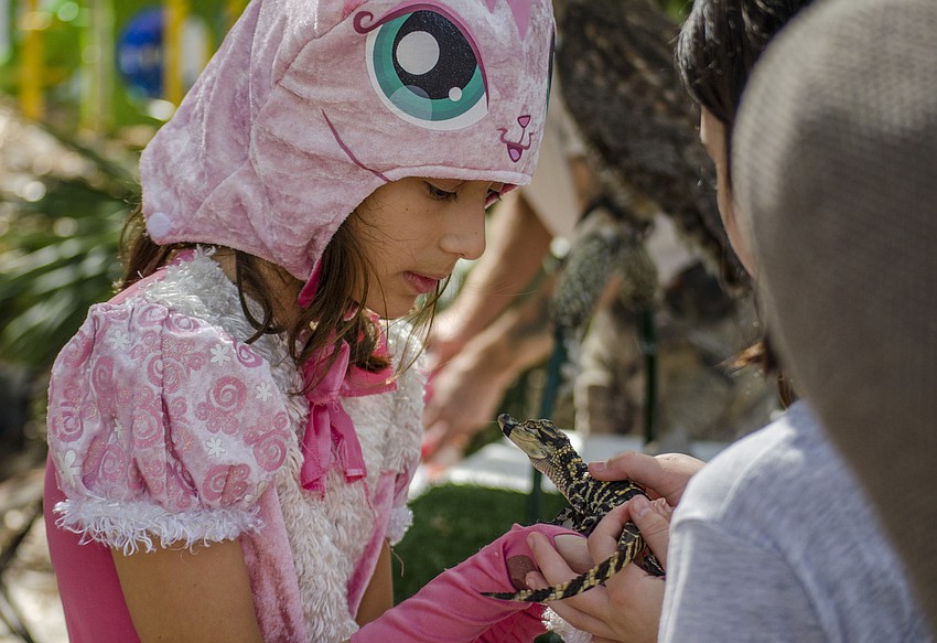 Lily Schlosberg pets a baby alligator.
