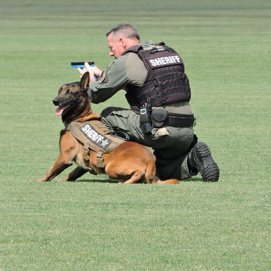 Deputy Mike Gerholdt and his dog, Boey, show the discipline needed when confronting a suspect.