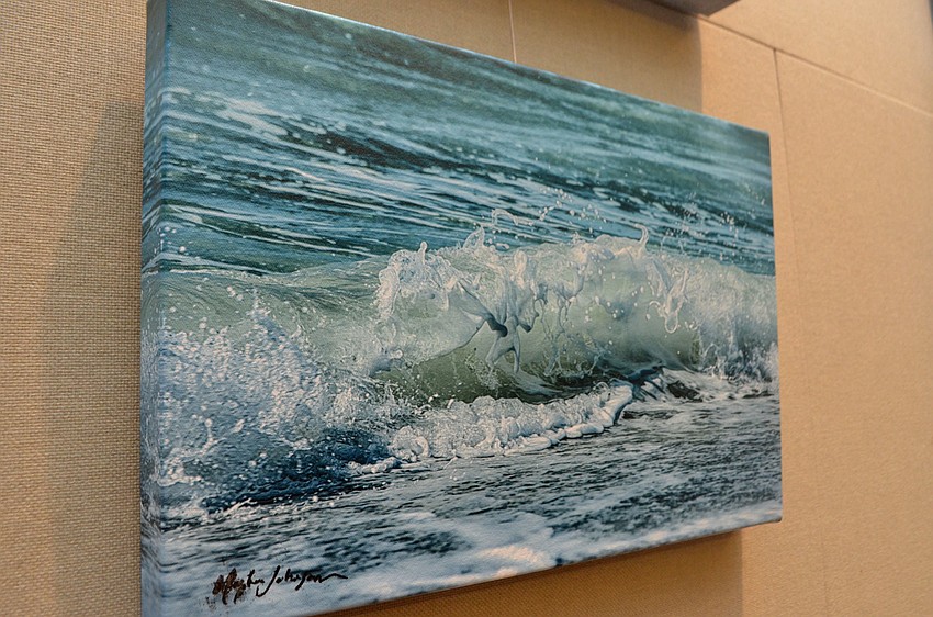 One of multiple photographs taken by Mary Lou Johnson that now hang in the Longboat Key Town Hall building.