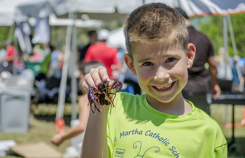 Gavin Tovar holds a crawfish at the St. Martha Catholic School'    s Cajun Crawfish and Seafood Festival.