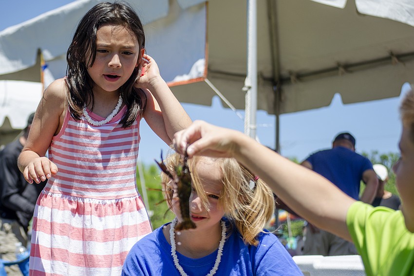 Lilly Orocco and Colleen Putnam react to Gavin Tovar holding crawfish during the St. Martha Catholic School'    s Cajun Crawfish and Seafood Festival.