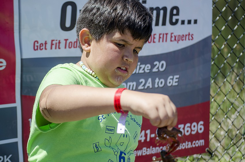 Tamas Torok picks up two crawfish from one of the buckets of crawfish waiting to be cooked at St. Martha Catholic School'    s Cajun Crawfish and Seafood Festival.