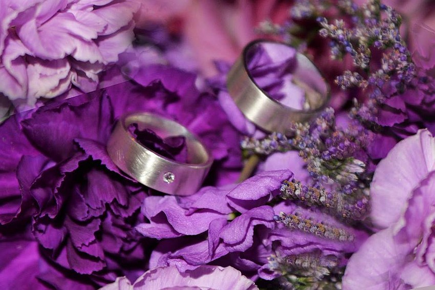 Photos by Cliff Roles.