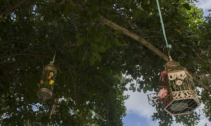 Birdcage decor hangs from banyan tree branches at Blossoms & Brunch on April 22 at The Ringling.